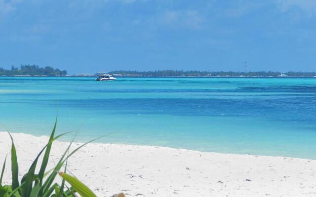 Whale Shark Inn Maldives 2