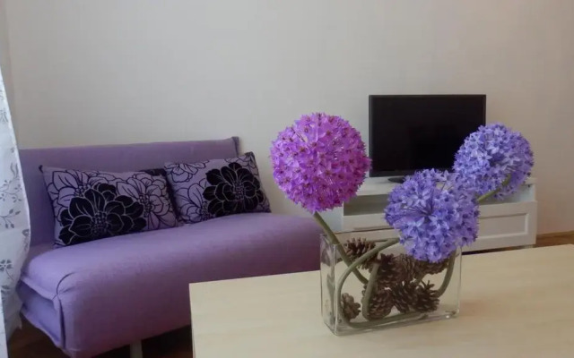 Отель Krakovska Holiday Appartments комната для гостей