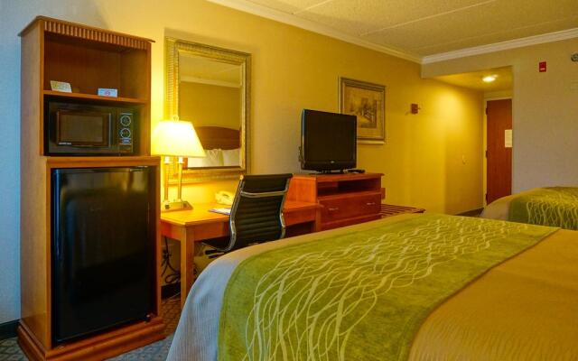 Comfort Inn and Suites Anaheim 2