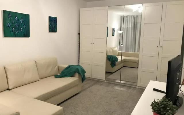 Гостиница Apartaments Sportivnaya 12 комната для гостей
