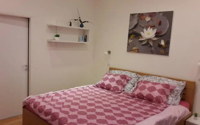 Отель AP Anglická комната для гостей
