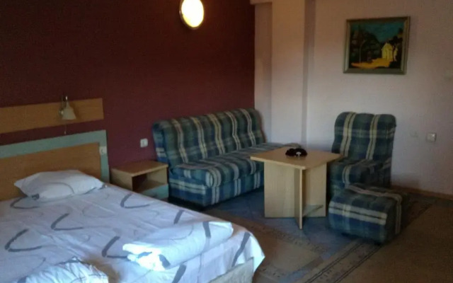Отель Family Hotel Evropas Болгария, Сандански - отзывы, цены и фото номеров - забронировать отель Family Hotel Evropas онлайн комната для гостей
