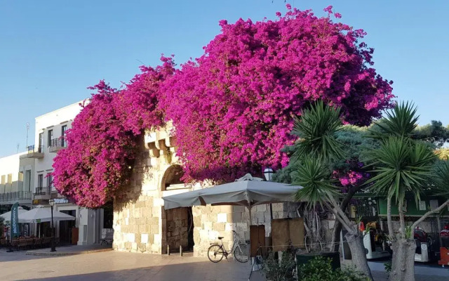 Elite Apartments Kos Greece Zenhotels