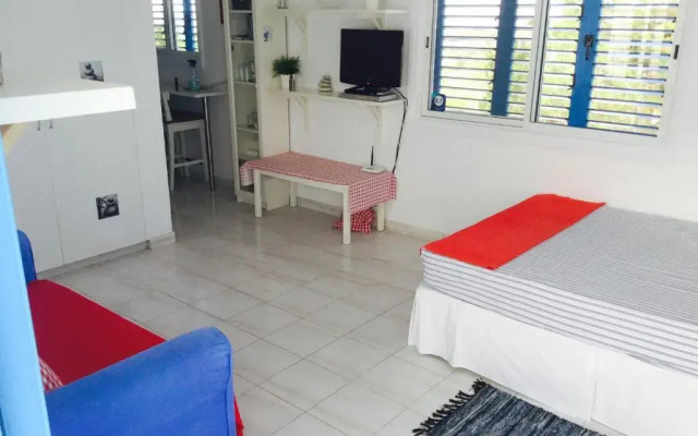 Апартаменты Ikaria Village Studio комната для гостей