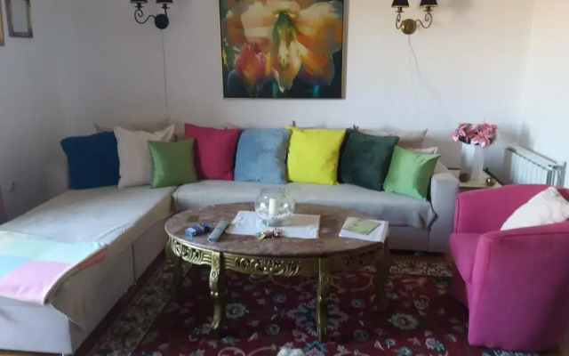 Отель Gold Apartments Сербия, Белград - отзывы, цены и фото номеров - забронировать отель Gold Apartments онлайн комната для гостей