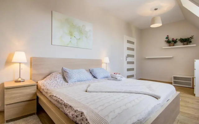 Отель Apartamenty Oaza Zakopane Закопане комната для гостей