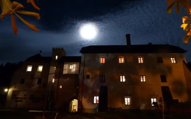 Hotel Schloss Thannegg вид на фасад