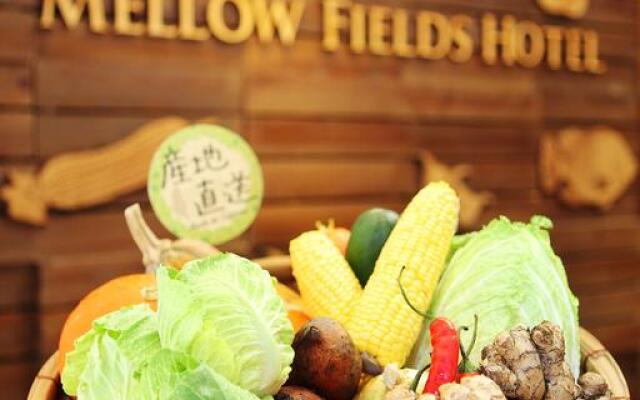 Mellow Fields Hotel 2