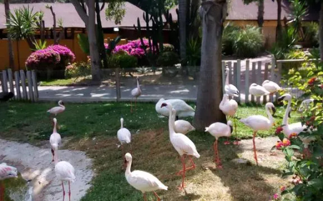 Отель Edif Sun Ray Fuengirola Испания, Фуэнхирола - отзывы, цены и фото номеров - забронировать отель Edif Sun Ray Fuengirola онлайн