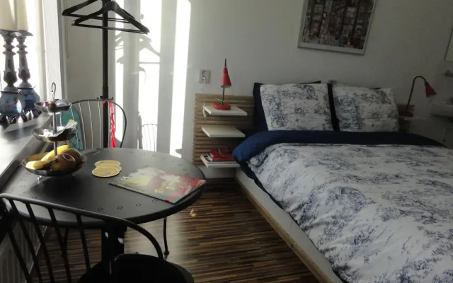 Отель Bed and Breakfast Amsterdam West комната для гостей