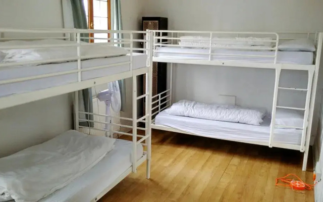 The Walrus Bar and Hostel комната для гостей
