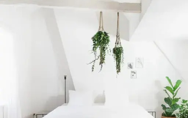 Отель The Collector's House комната для гостей