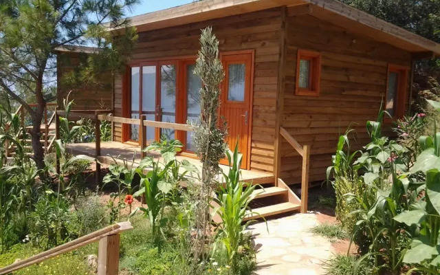 Отель Kabak Avalon Патара балкон