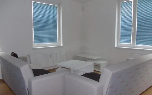 Апартаменты Apartment Jelinex комната для гостей