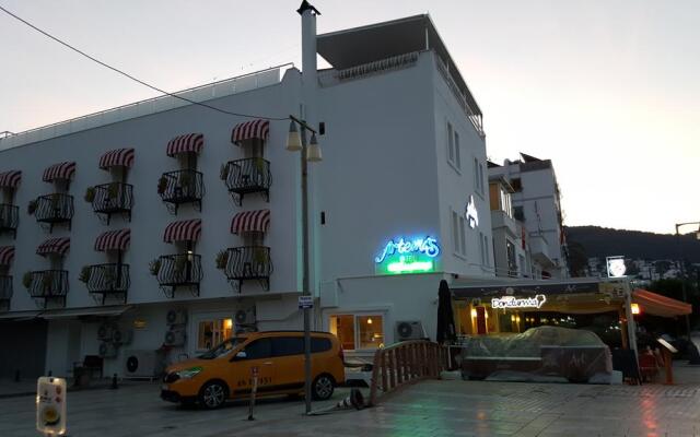 Artemis Hotel 1