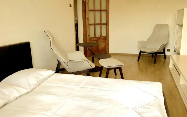 Отель Grecinieku Street Apartment Латвия, Рига - отзывы, цены и фото номеров - забронировать отель Grecinieku Street Apartment онлайн комната для гостей