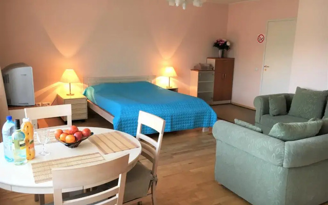 Отель Romeo Family Kaarli Apartment Эстония, Таллин - отзывы, цены и фото номеров - забронировать отель Romeo Family Kaarli Apartment онлайн комната для гостей
