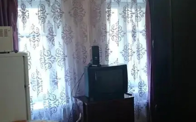 Гостиница Homestay Gagarinskaya 15 комната для гостей