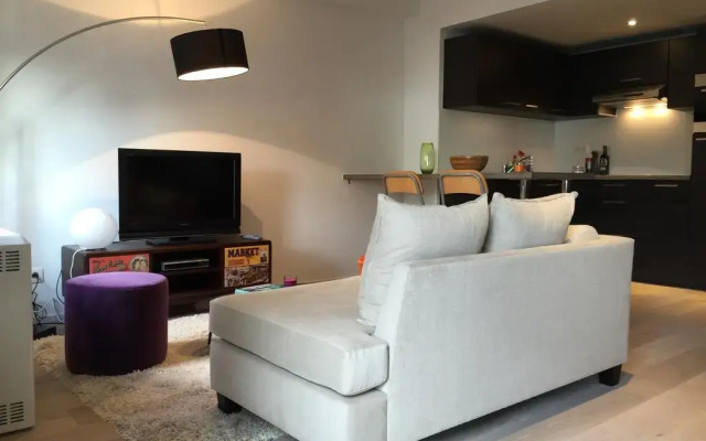 Отель Flat Brugmann Бельгия, Брюссель - отзывы, цены и фото номеров - забронировать отель Flat Brugmann онлайн комната для гостей