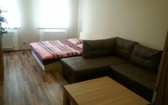 Отель Apartman Aleksandra Чехия, Карловы Вары - отзывы, цены и фото номеров - забронировать отель Apartman Aleksandra онлайн комната для гостей