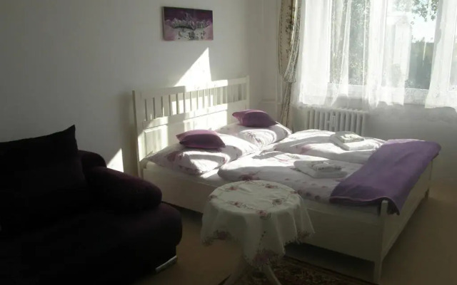 Апартаменты Apartment Meixner комната для гостей