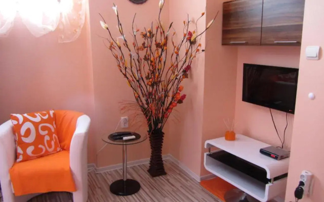 Отель Orange Flower Apartments Болгария, София - отзывы, цены и фото номеров - забронировать отель Orange Flower Apartments онлайн комната для гостей