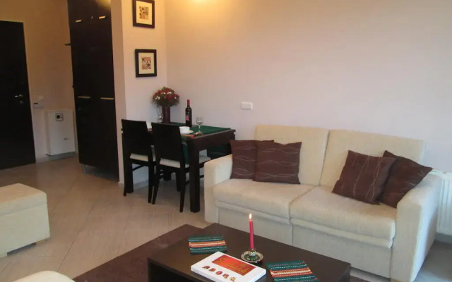 Отель Green Life Ski & Spa Alexander Services Apartments Болгария, Банско - отзывы, цены и фото номеров - забронировать отель Green Life Ski & Spa Alexander Services Apartments онлайн комната для гостей