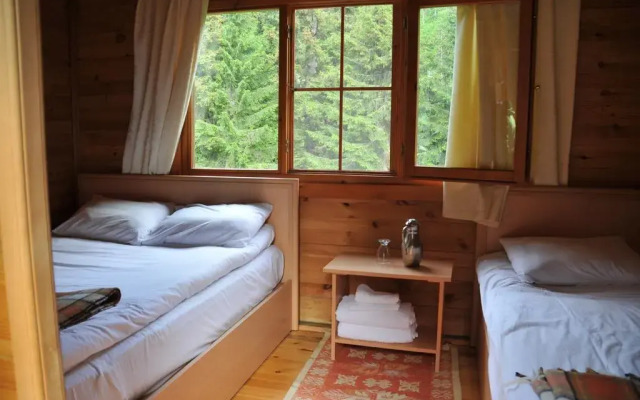 Отель Kardelen Bungalov Evleri̇ комната для гостей
