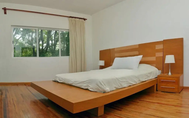 Отель Suites del Carmen - Guerrero Мексика, Мехико - отзывы, цены и фото номеров - забронировать отель Suites del Carmen - Guerrero онлайн комната для гостей