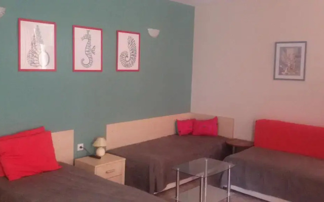 Отель Comfort Apartment Болгария, Поморие - отзывы, цены и фото номеров - забронировать отель Comfort Apartment онлайн комната для гостей