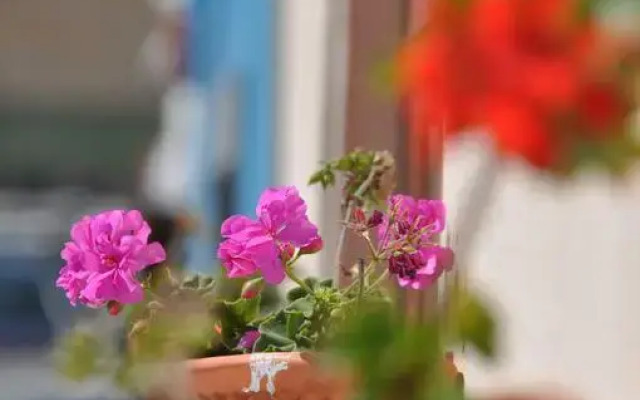Отель Peniche Beach Lofts вид на фасад