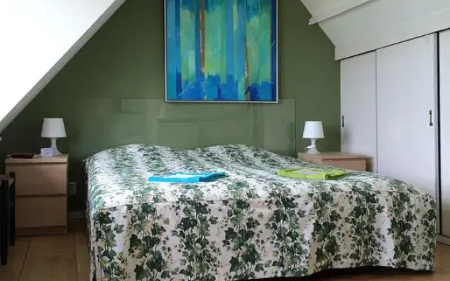 Отель Amsterzonian B&B Нидерланды, Амстердам - отзывы, цены и фото номеров - забронировать отель Amsterzonian B&B онлайн комната для гостей