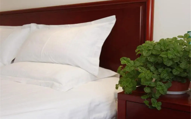 Отель GreenTree Inn Beijing Capital Airport Terminal Express Hotel Китай, Пекин - отзывы, цены и фото номеров - забронировать отель GreenTree Inn Beijing Capital Airport Terminal Express Hotel онлайн комната для гостей