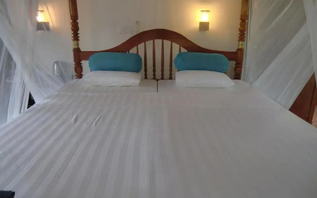 Отель The Oasis Villa Шри-Ланка, Хиккадува - отзывы, цены и фото номеров - забронировать отель The Oasis Villa онлайн комната для гостей