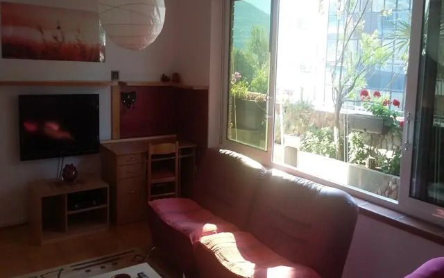Апартаменты Apartment Zoran Centar комната для гостей