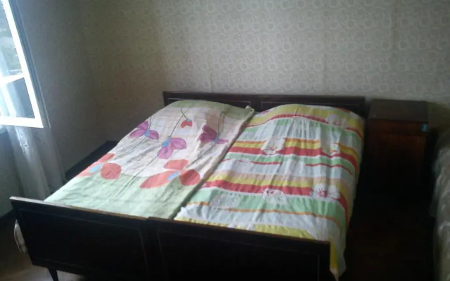 Bagrationi's House