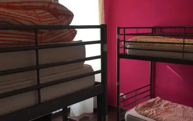 Coconuts Female Hostel (хостел для женщин) комната для гостей