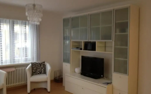 Отель Moderne Ferienwohnung Lenzerheide комната для гостей