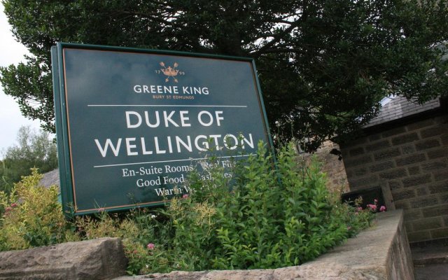 The Duke of Wellington 2