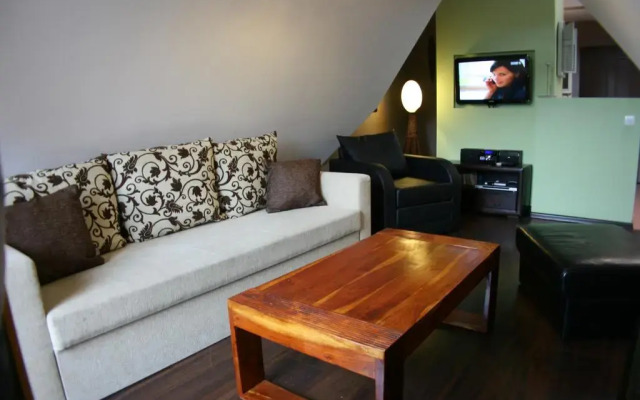 Отель Apartamenty Widokowy Tatry Zakopane Косцелиско комната для гостей