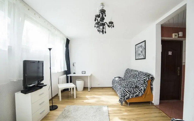 Отель Zebra Old Town Польша, Варшава - отзывы, цены и фото номеров - забронировать отель Zebra Old Town онлайн комната для гостей