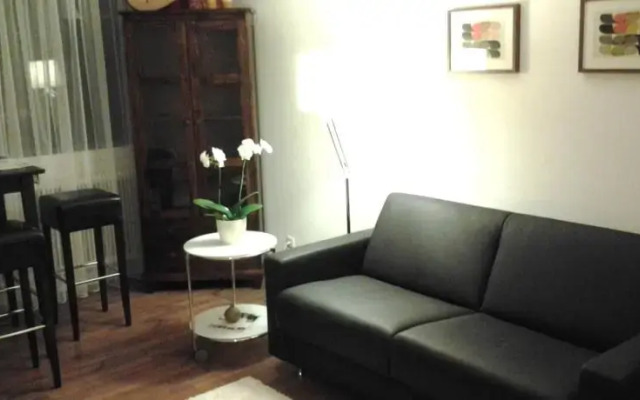 Апартаменты Serena Suites Serviced Apartments Зальцбург комната для гостей