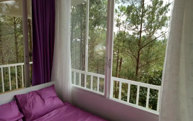 Отель Pine Hill Homestay Dalat комната для гостей