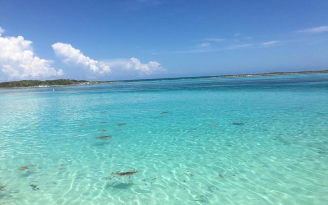 Coco Plum Resorts Bahamas 1