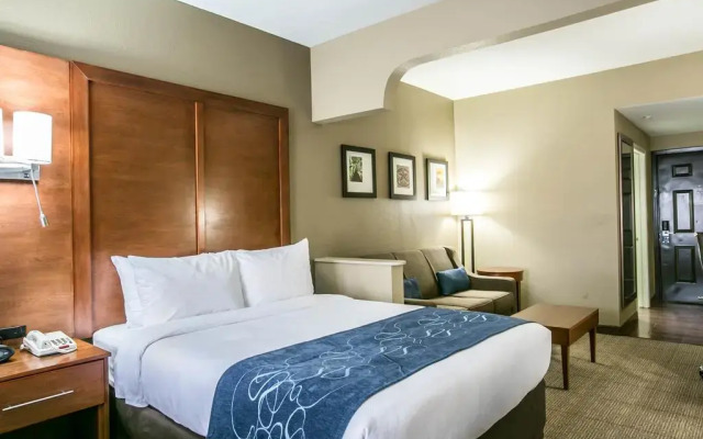 Comfort Suites Nw Lakeline In Austin United States Of America