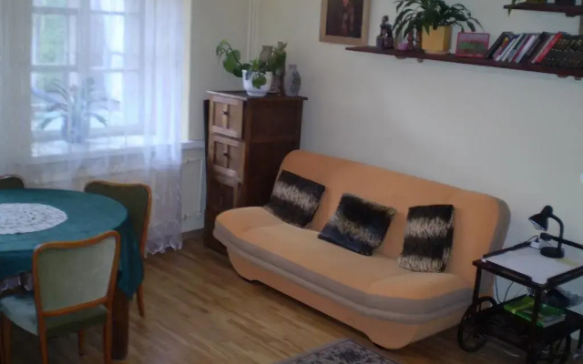 Апартаменты Boksto Apartment комната для гостей