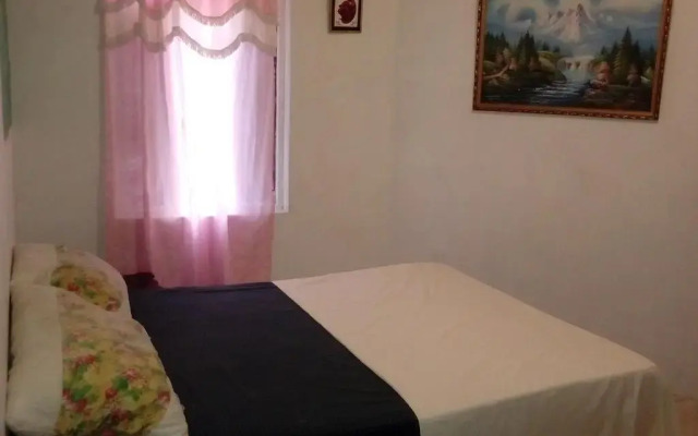 IRIE Vibez hostel Порт Антонио комната для гостей