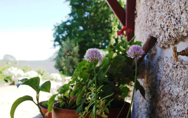 Отель Quinta Da Pousadela Амаранте балкон