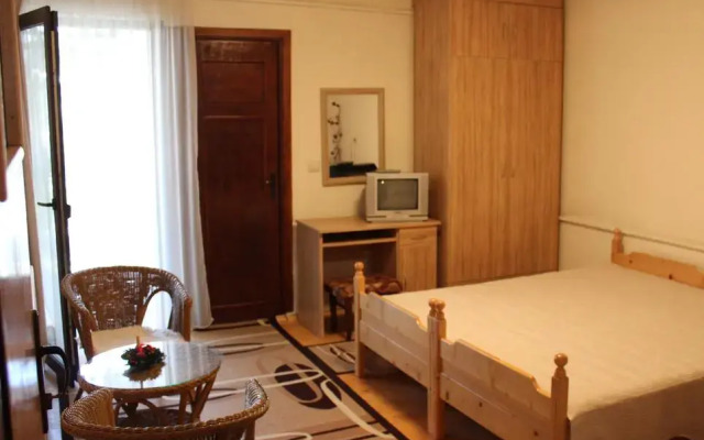 Отель Nina 1 Rooms Банско комната для гостей