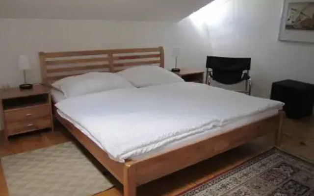 Отель Vienna Art Apartments - Penthouse Австрия, Вена - отзывы, цены и фото номеров - забронировать отель Vienna Art Apartments - Penthouse онлайн комната для гостей